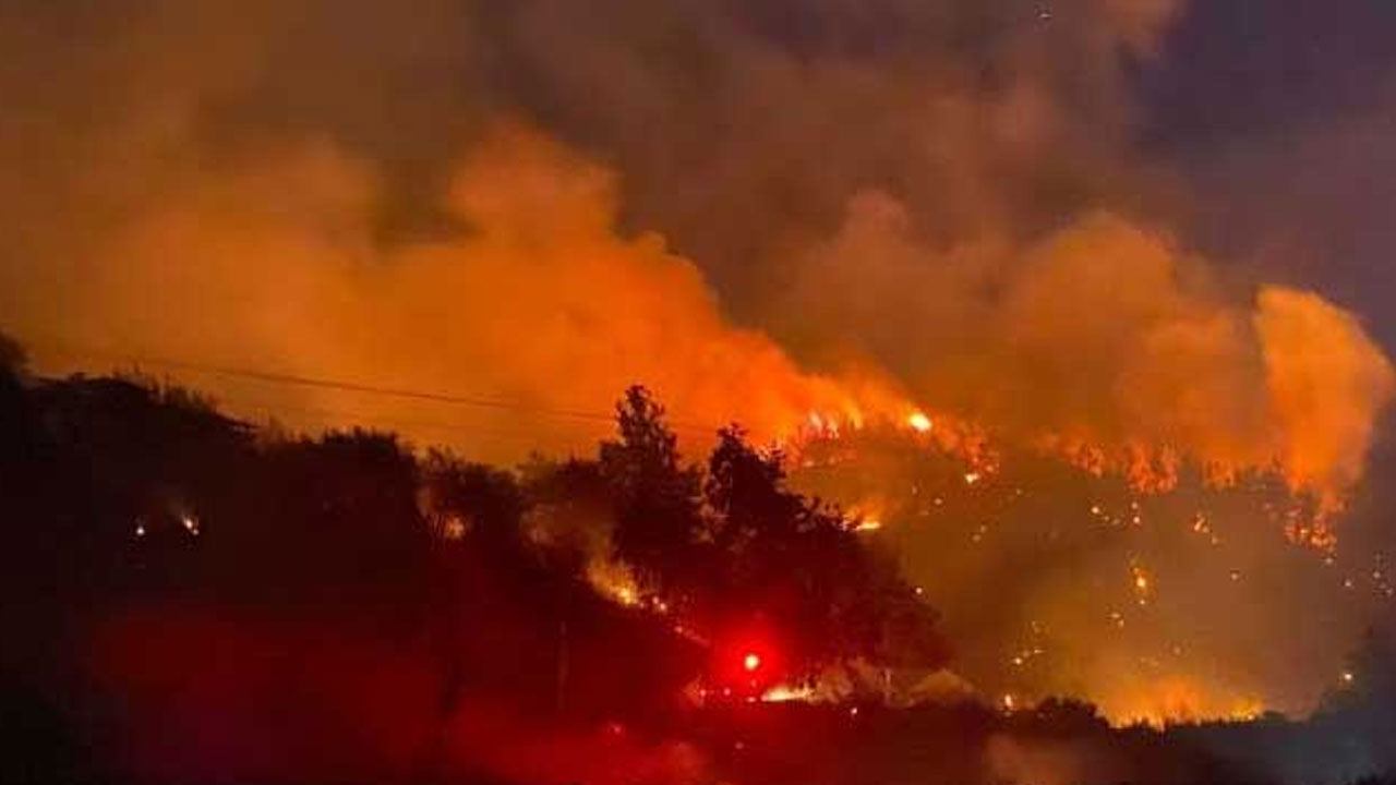 Antalya’da da ormanlık alanda yangın çıktı