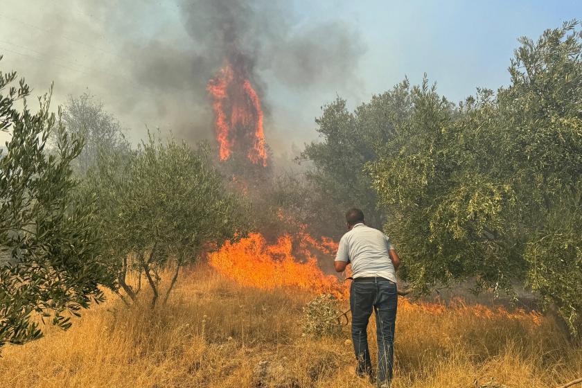 Aydın’ın Germencik ilçesinde orman yangını