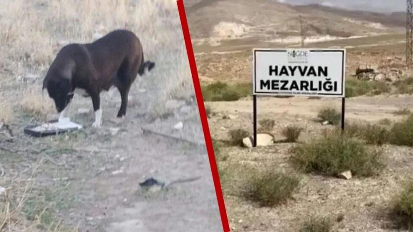 Niğde’de yaşam nöbeti başladı