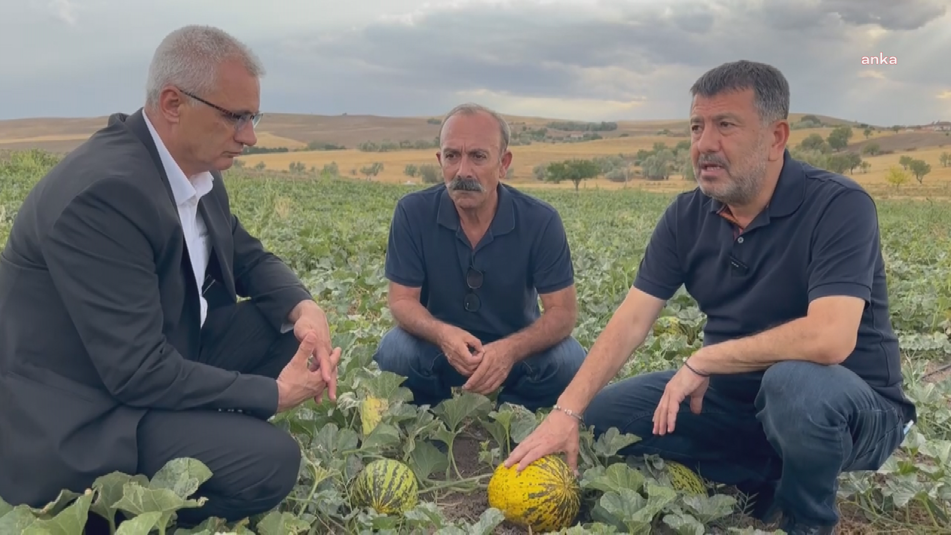 Veli Ağbaba: ‘Gelecek yıl Arguvan’da kavun ekecek çiftçi bulamayacağız’