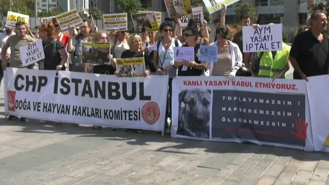 Yaşam hakkı savunucuları İstanbul Adliyesi önündeydi