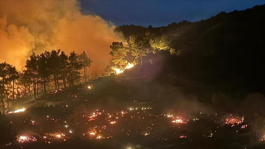 Muğla’da iki ayrı yerde orman yangını