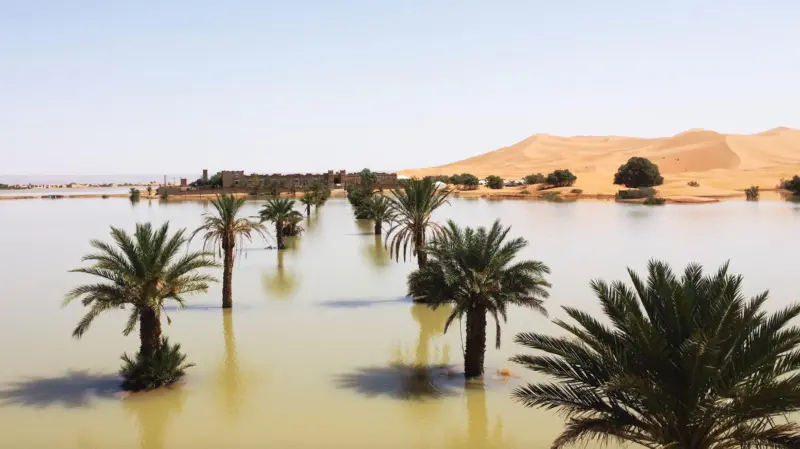 Sahra Çölü’nde 50 yıl sonra sel yaşandı