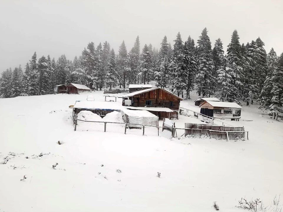 Sinop’ta kar nedeniyle yaylada mahsur kaldılar