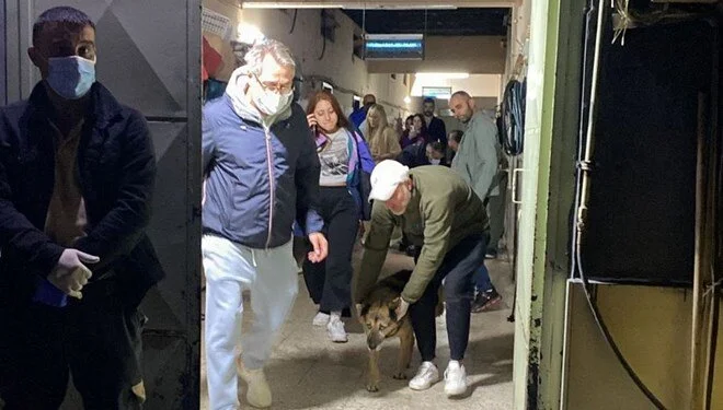 Gebze’nin ardından Ümraniye’de hayvan katliamı