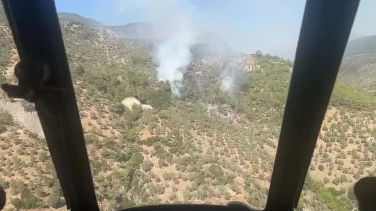 Aydın’da zeytinlik alanda yangın çıktı