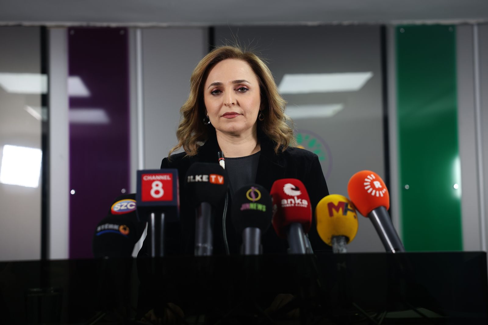 Ayşegül Doğan: Yıllardır aynı yolu deniyorsunuz, vazgeçecekler sanıyorsunuz