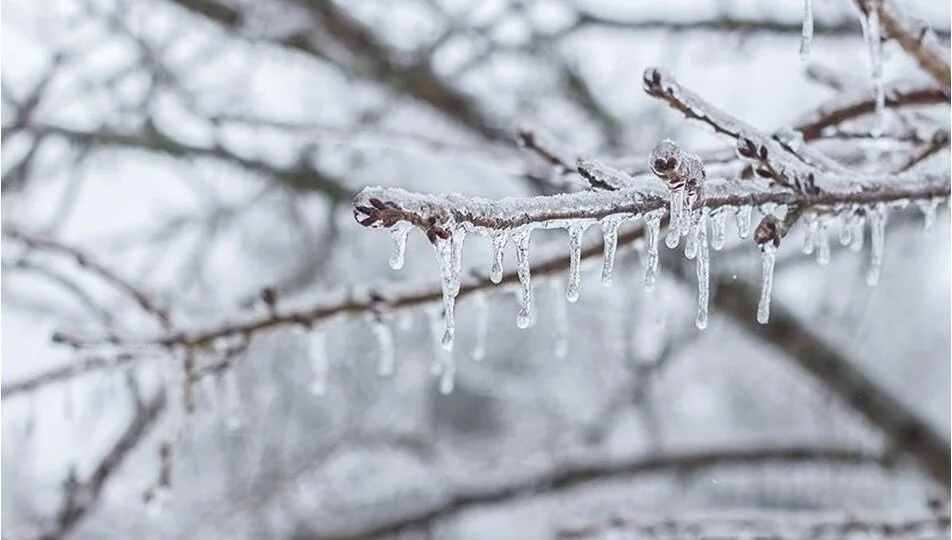 Meteorolojiden çığ, buzlanma ve don uyarısı