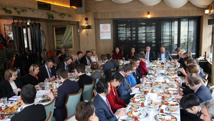 DEM Parti Eş Genel Başkanları 31 ülke temsilcileriyle bir araya geldi