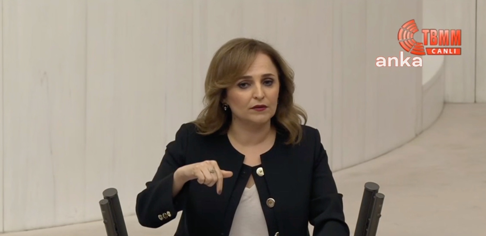 Ayşegül Doğan: Tarihsel bir şansla karşı karşıyayız, artık karar vakti geldi