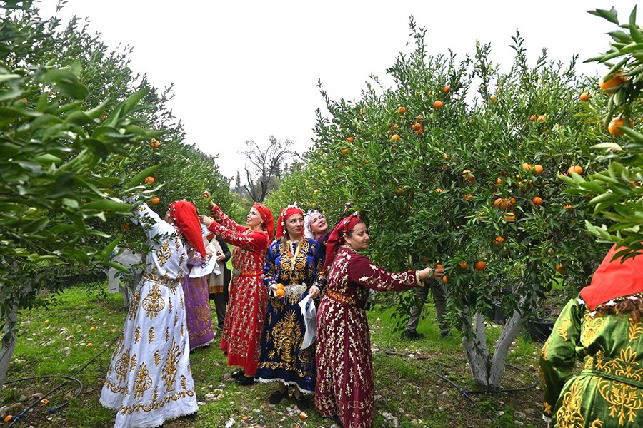 Bodrum’da Mandalina Festivali düzenlendi