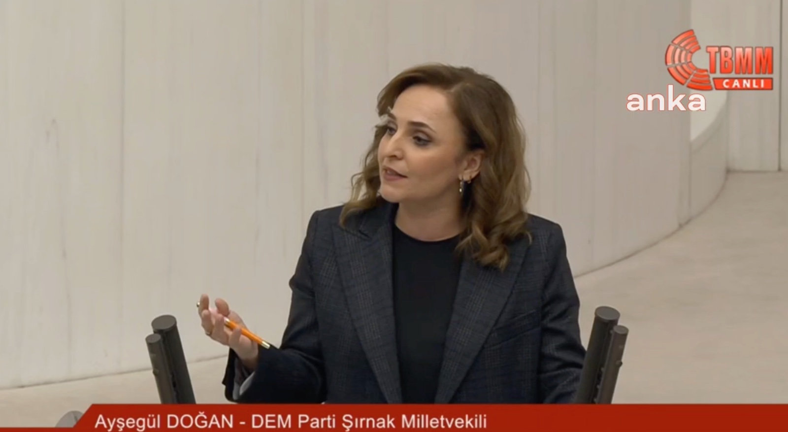 Ayşegül Doğan: İletişemeyen birisi nasıl İletişim Başkanlığı yapar