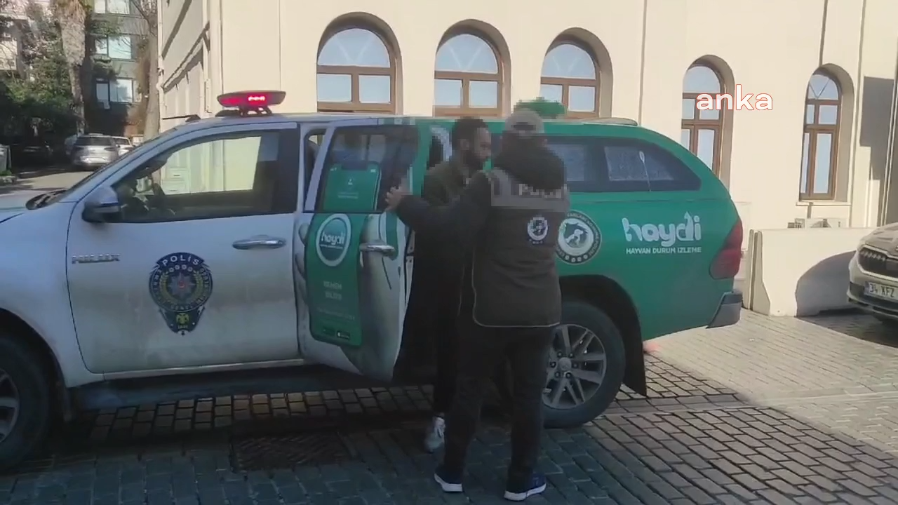 İstanbul’da kediye şiddet uygulayan şahıs gözaltına alındı