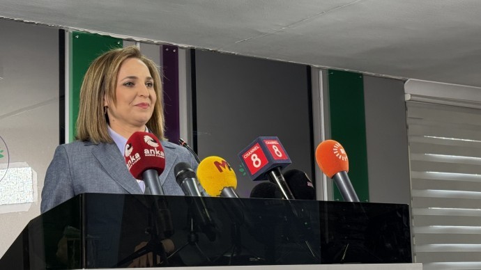 Ayşegül Doğan: Kayyım atamak için ceza veriliyor