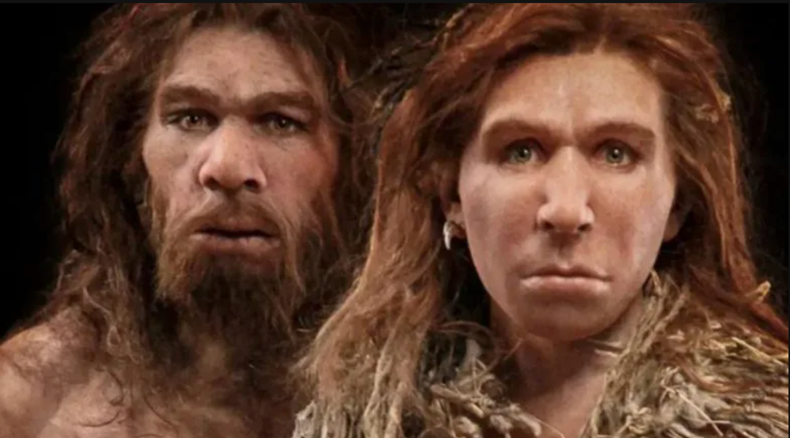 Araştırma: Neandertallerin sonunu kan grupları getirmiş olabilir
