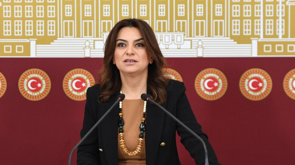 DEM Parti’den çağrı: İmralı’ya gidiş gelişler yetmez, Meclis adım atmalı