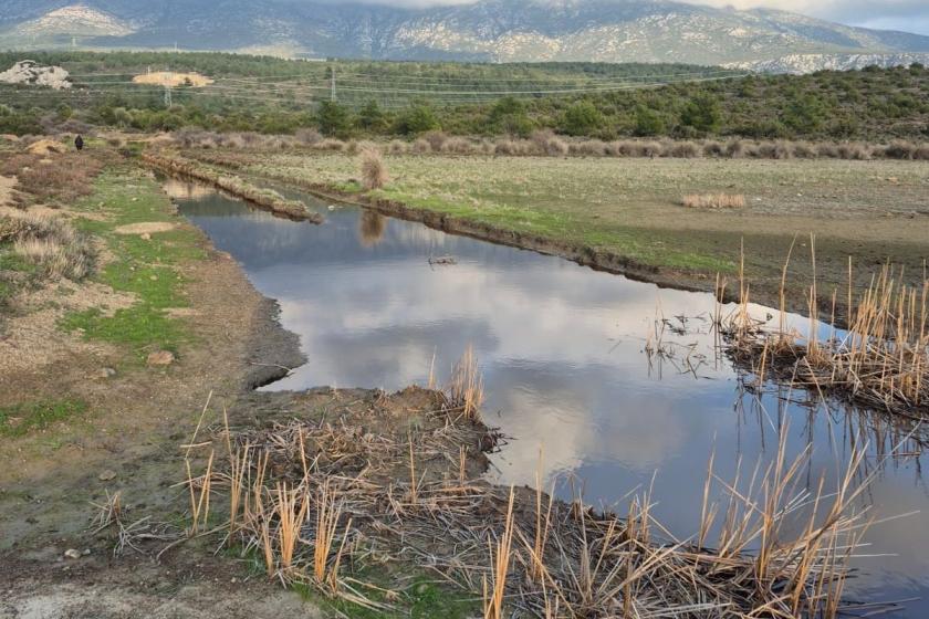 Bakanlığın Karaburun’da İris Gölü için projelerine itiraz edildi
