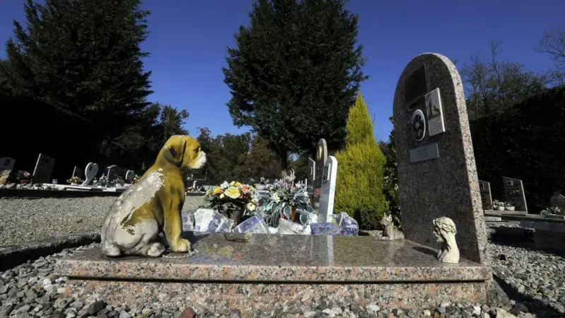 Milano’da evcil hayvanlar sahiplerinin mezarına gömülebilecek