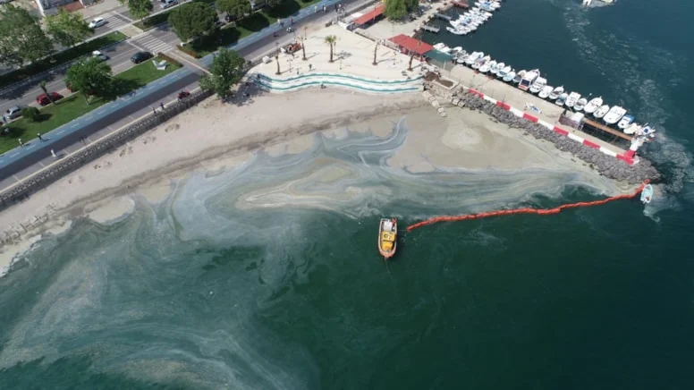 Marmara Denizi’nde müsilaj denetimi: 2 büyükşehir belediyesine ceza
