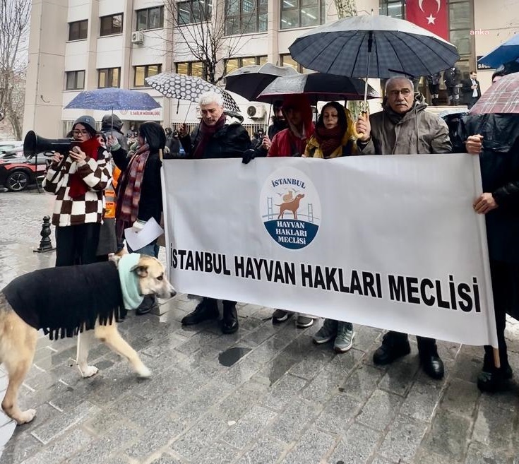 Yaşam hakkı savunucularından Sağlık Bakanlığı’nın hayvanları toplatma kararına tepki