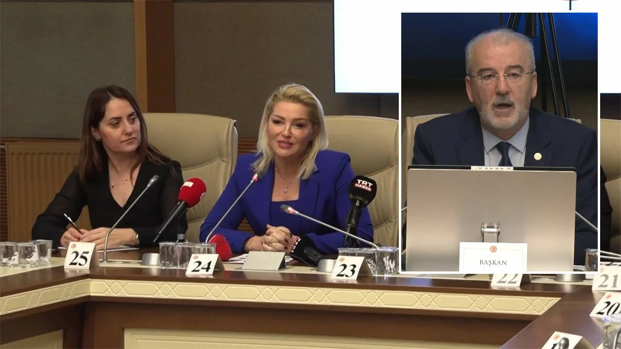 Cevizoğlu: Konuğumuza kadın vekillerimizin sembolik şiddet uygulaması hoş olmadı