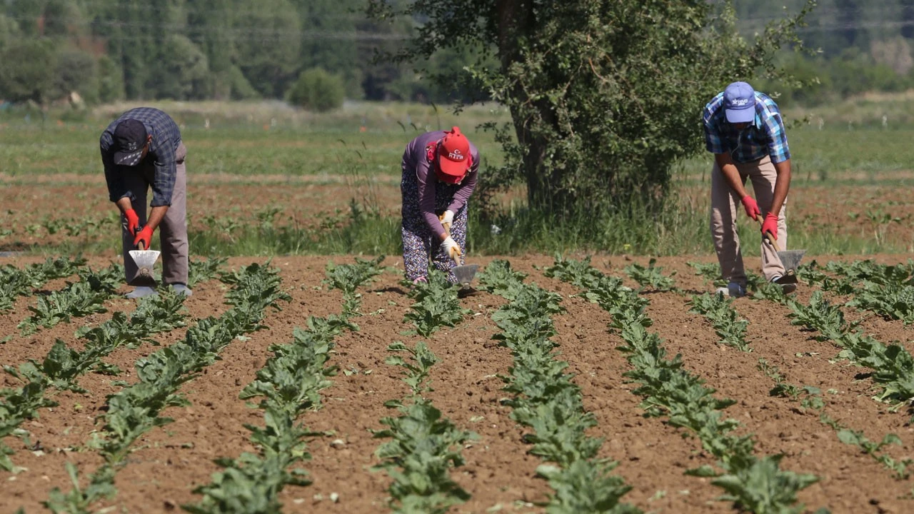 ‘Çiftçi borç batağında, destekler yetersiz’