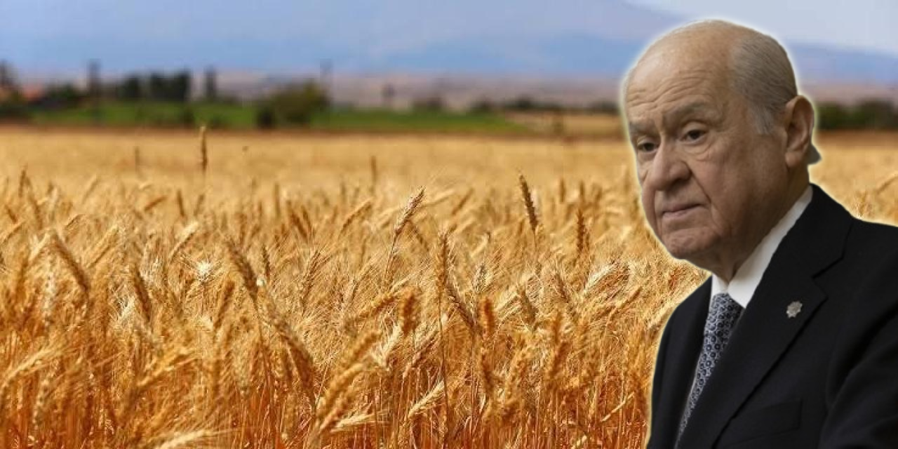 MHP’den ‘askıda buğday’ kampanyası
