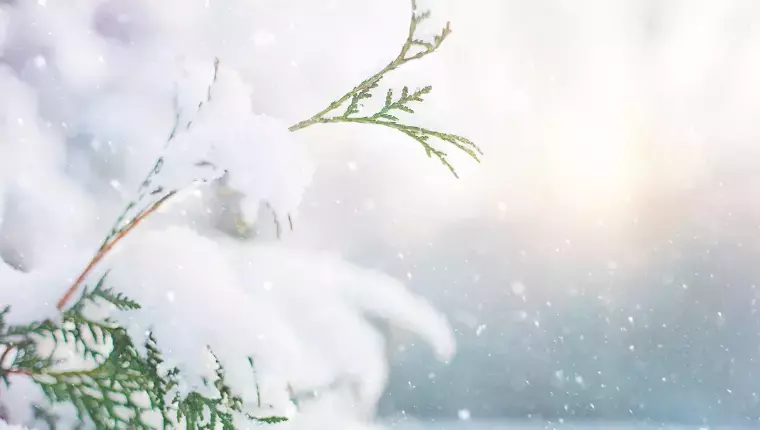 Meteoroloji uyardı: 7 ilde kuvvetli kar yağışı bekleniyor