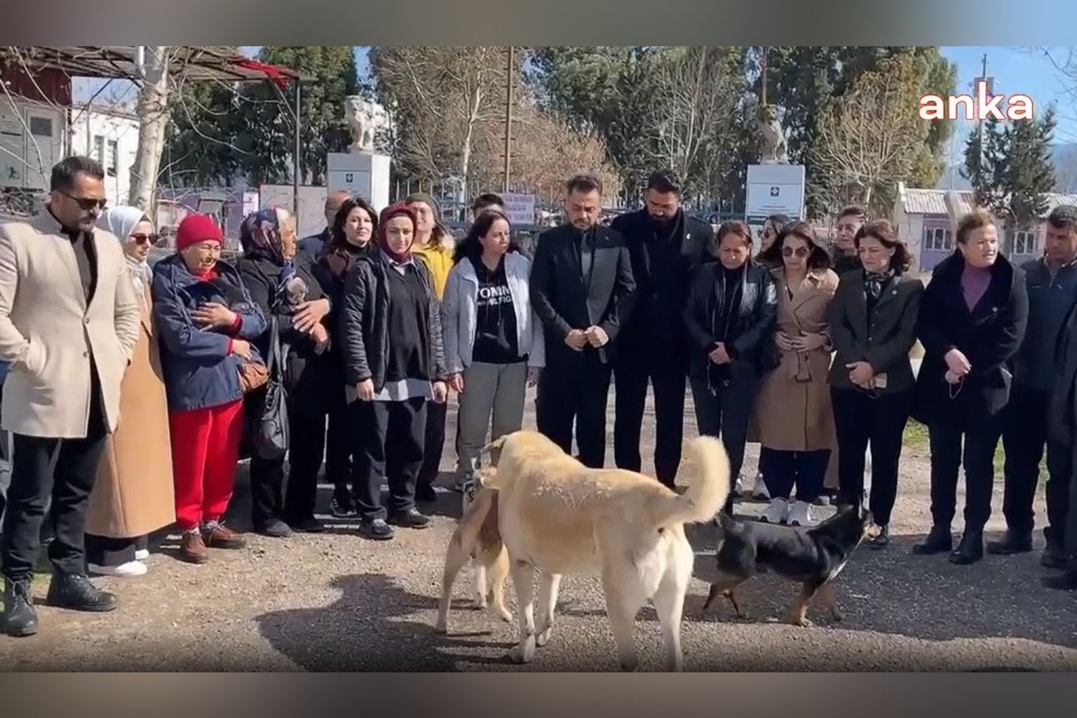 Osmaniye Hayvan Barınağı’nda köpek ölümleri iddiası
