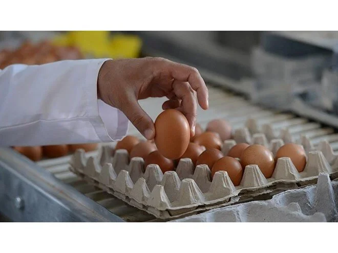 ABD’de ‘yumurta krizi’ sürüyor: Restoranlar ve kafelerden ek ücret