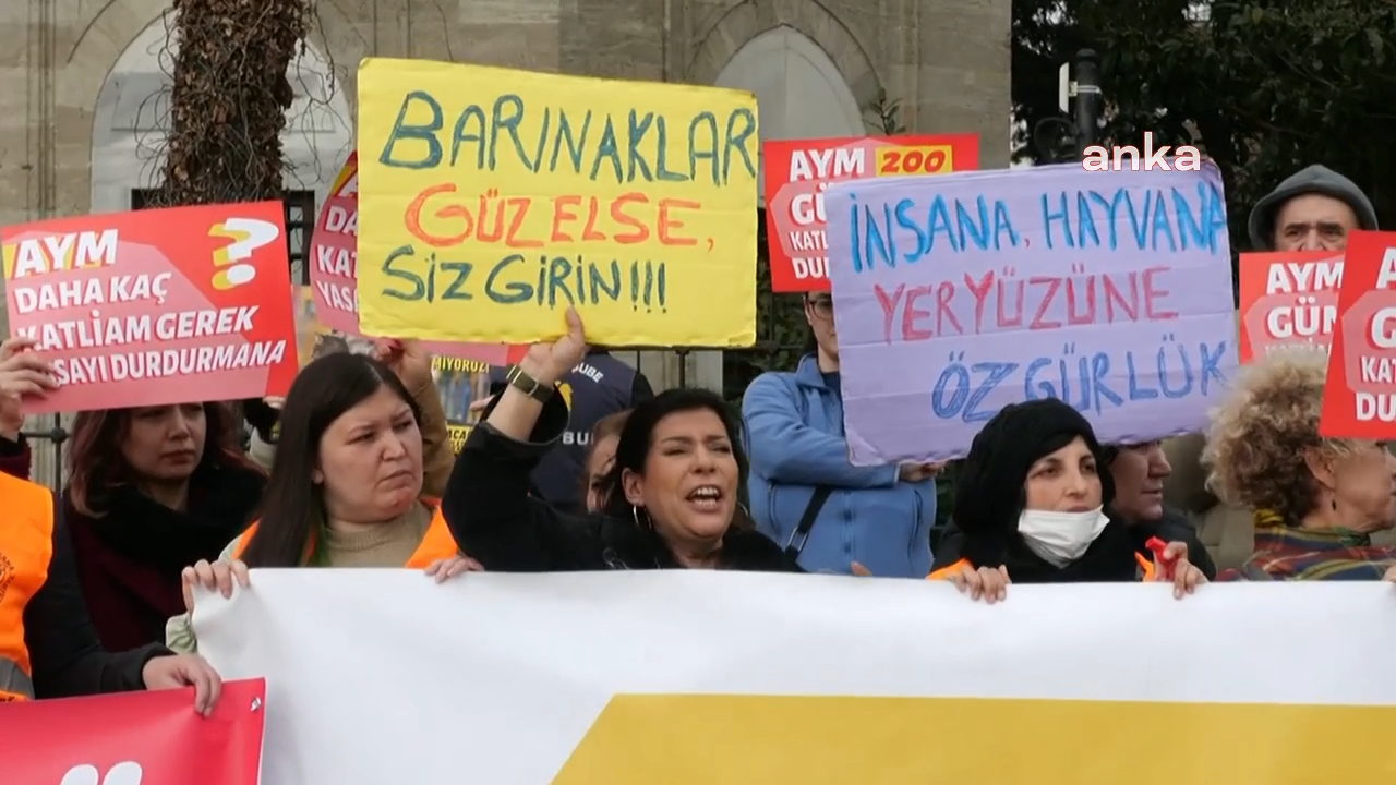 Yaşatacağız Platformu’ndan sahipsiz hayvanlarla ilgili kanuna karşı protesto