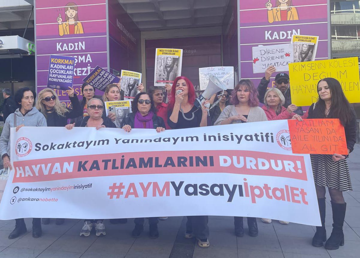 Ankara’da hayvanlar için 289’uncu kez açıklama yapıldı