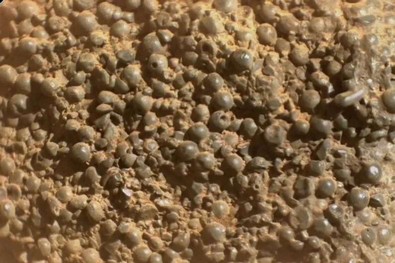 Mars’a gönderilen gelişmiş robot kaşif gizemli bir kaya keşfetti