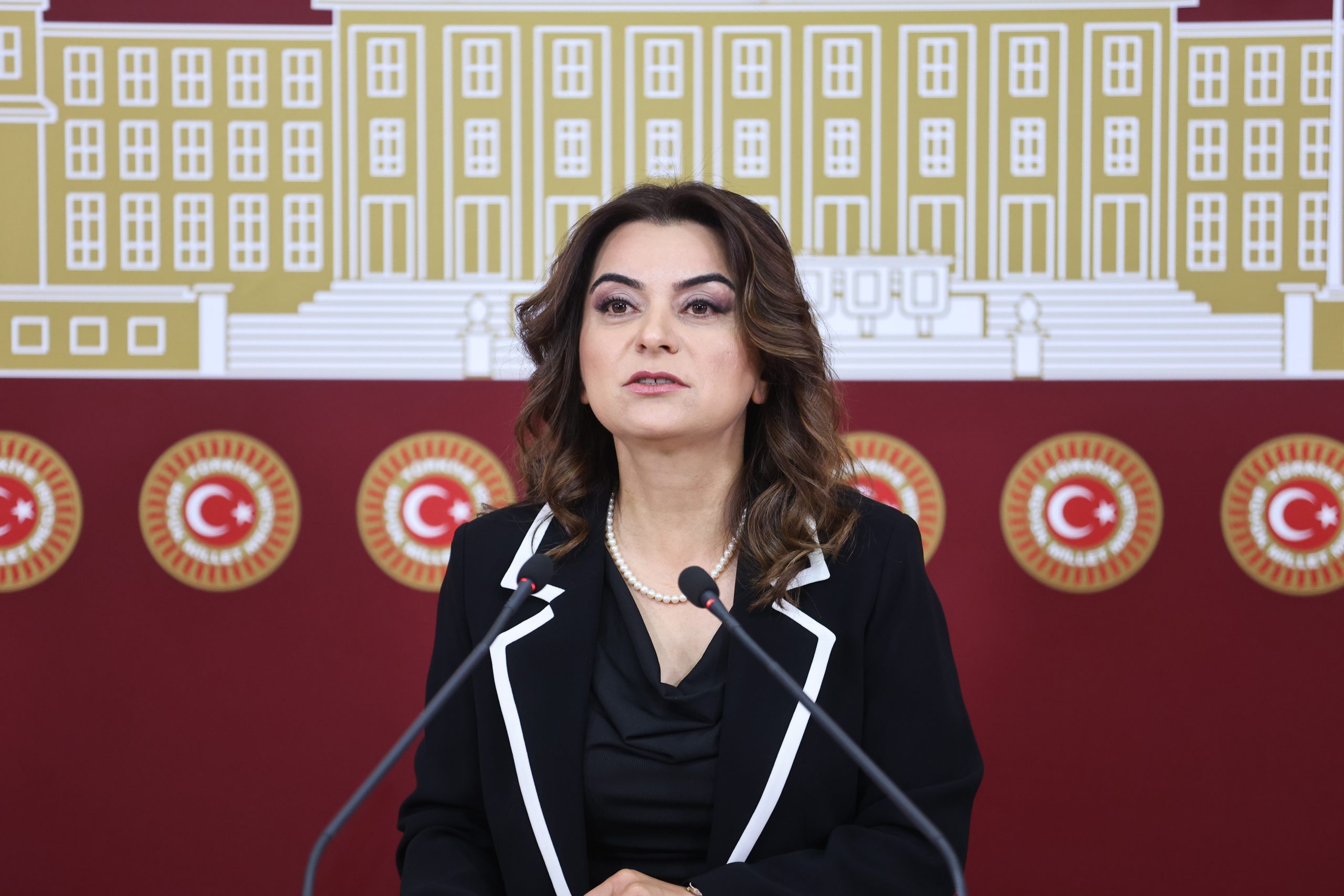 Gülistan Kılıç Koçyiğit: Süreçte tıkanma var diyecek durumda değiliz