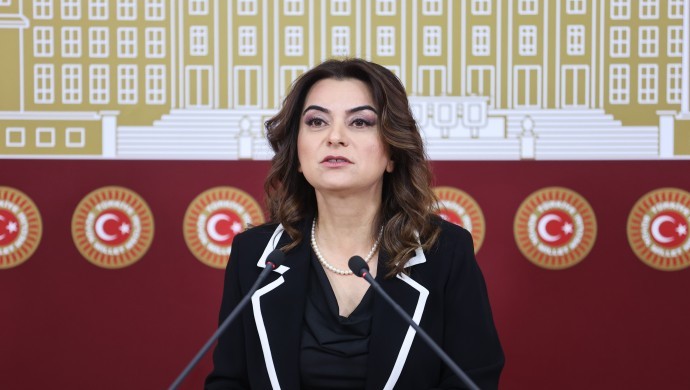 Gülistan Koçyiğit: Erdoğan görüşmesinde sürecin tıkanan yönleri ele alındı