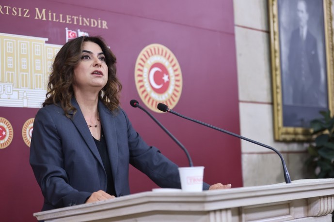 Gülistan Kılıç Koçyiğit: Bu ülkede barışın gelmesi hayati önemdedir