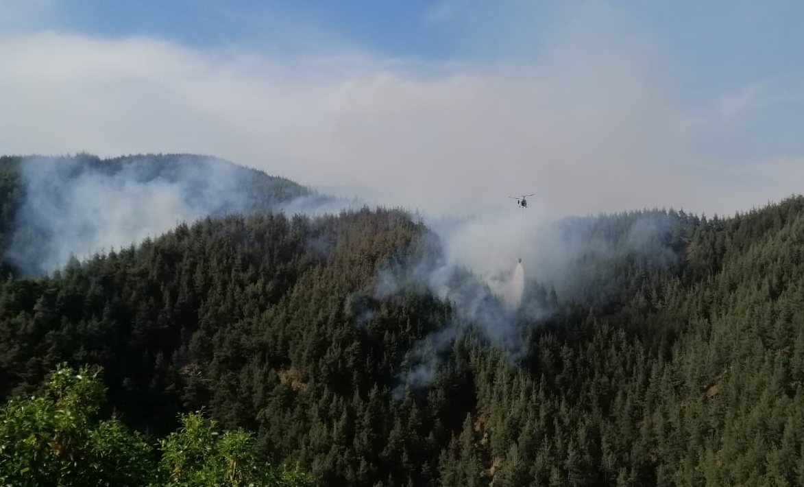Kahramanmaraş’ta orman yangını