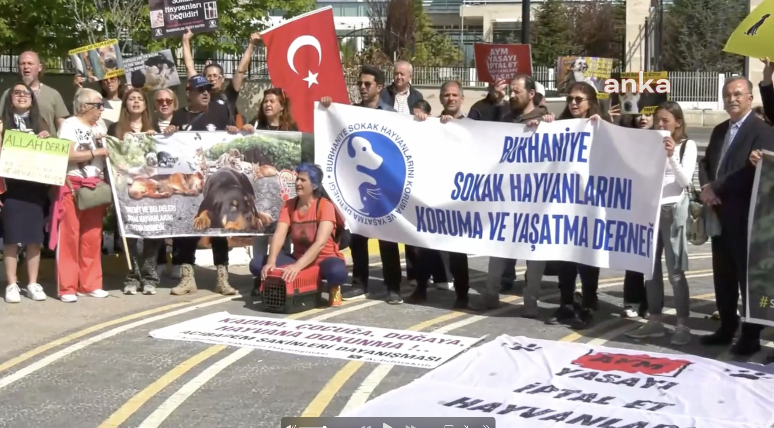 AYM, sokak hayvanları yasasının iptali istemini reddetti