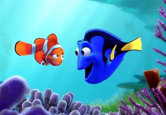 Kayıp Balık Nemo filmiyle ünlenen palyaço balıklar neden zayıflıyor?