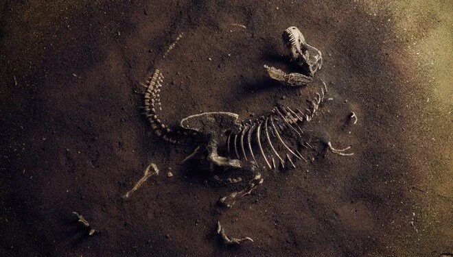 Toplu dinozor mezarının gizemi