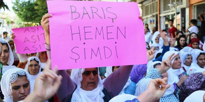 Kadınların barıştaki rolü Meclis gündeminde