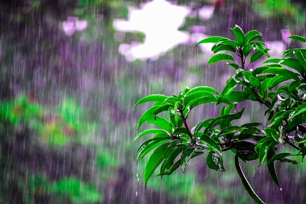 Meteoroloji’den yağmur uyarısı