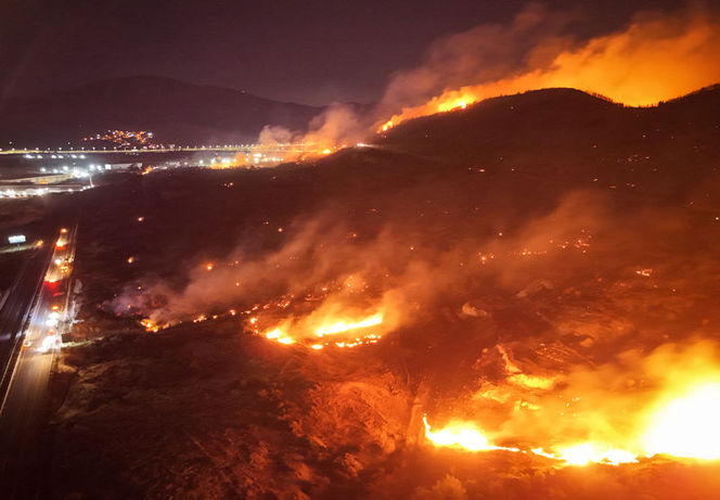 İzmir Aliağa’da yine orman yangını