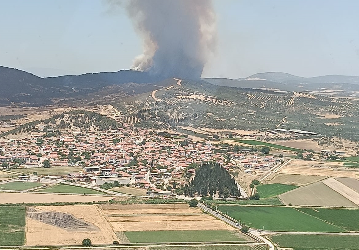 İzmir ve Antalya’da orman yangınları