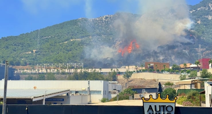 Bodrum’da orman yangını: Midtown alışveriş merkezi tahliye edildi