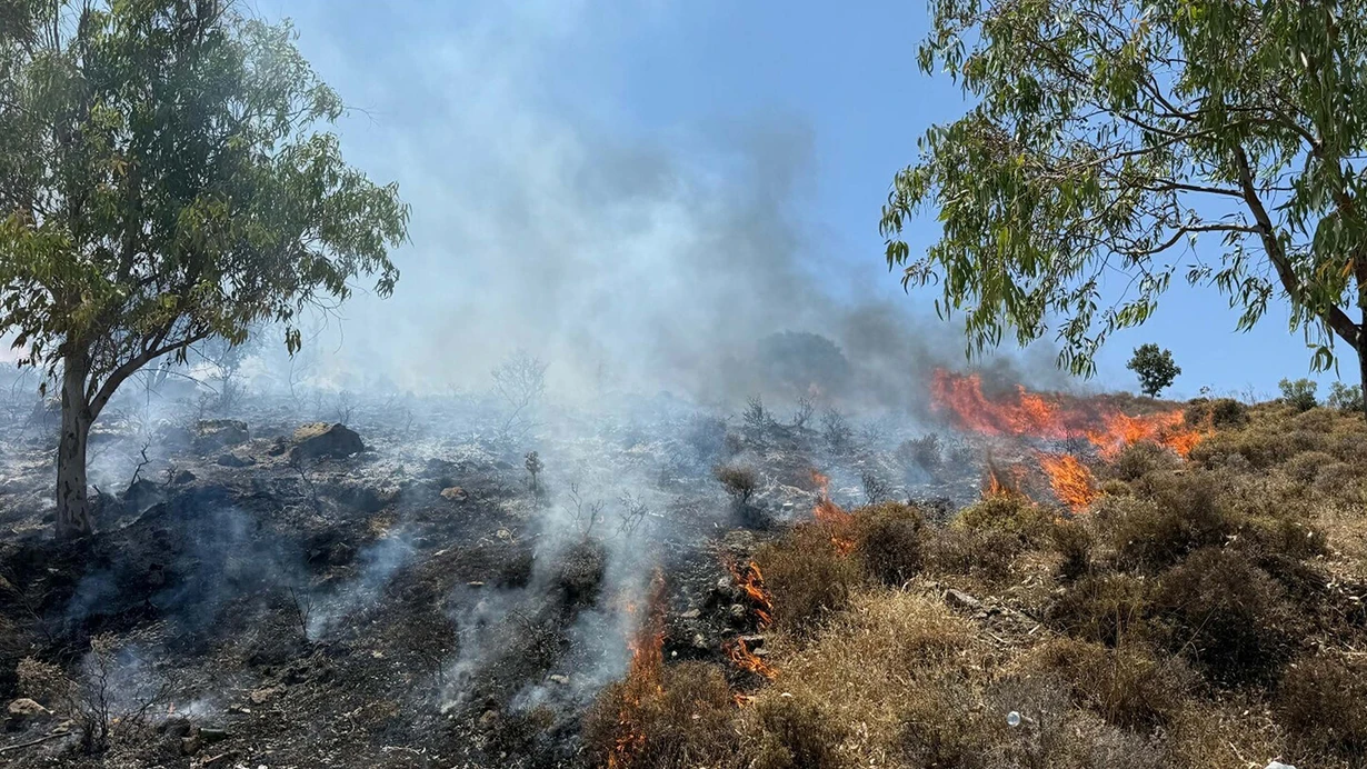 Bodrum’da orman yangını: Ekipler bölgeye sevk edildi