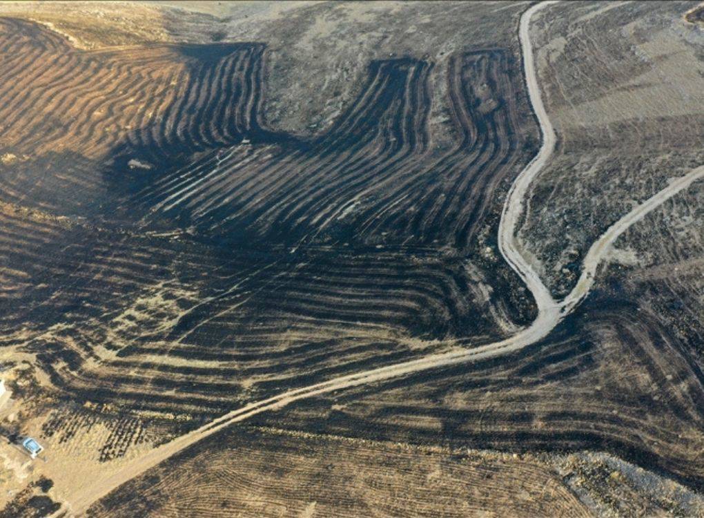 Diyarbakır ve Mardin’deki yangının üzerinden bir yıl geçti: Soruşturma tamamlanmadı