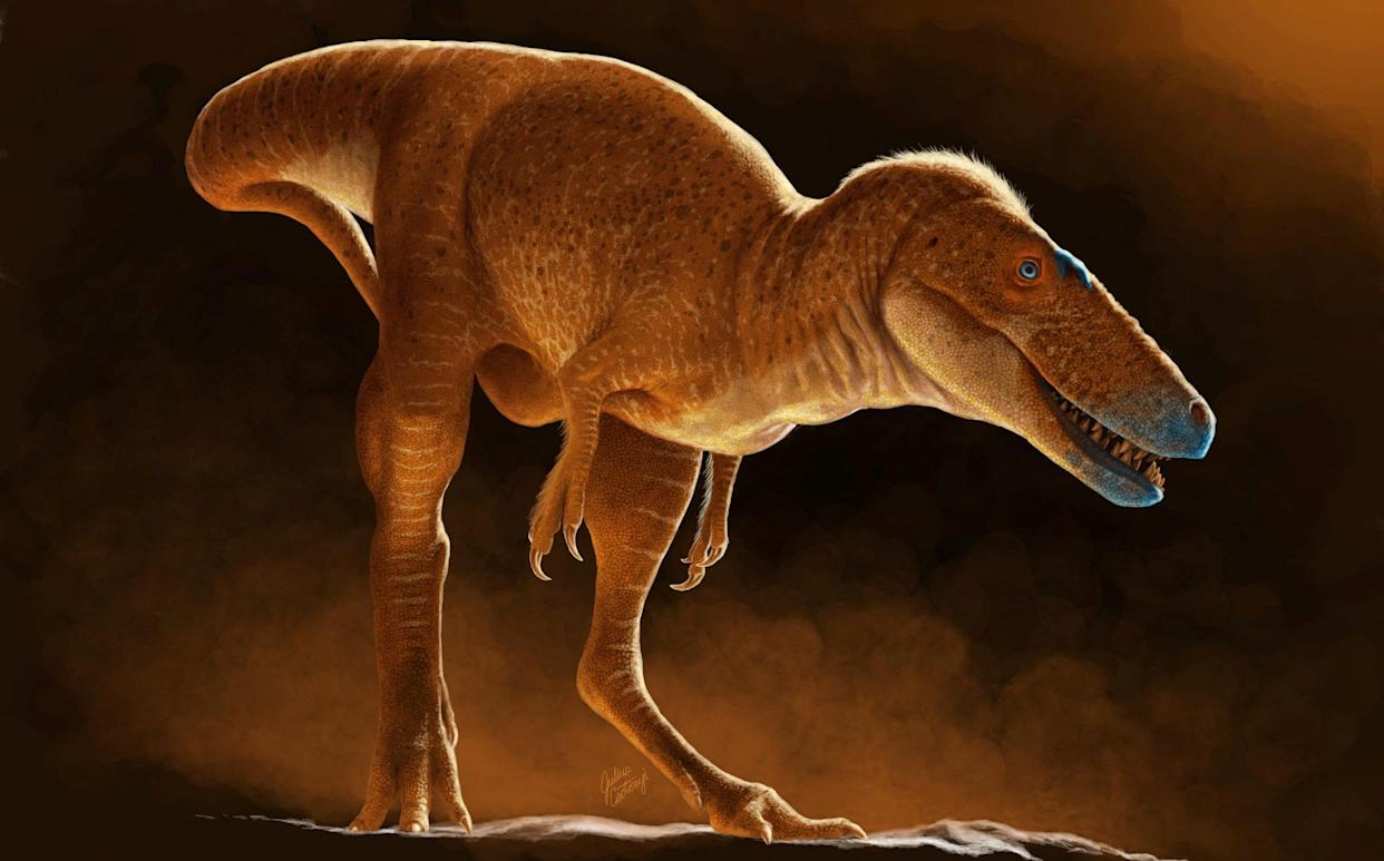 86 milyon yıllık yeni dinozor türü keşfedildi: ‘Moğolistan’ın Ejderha Prensi’