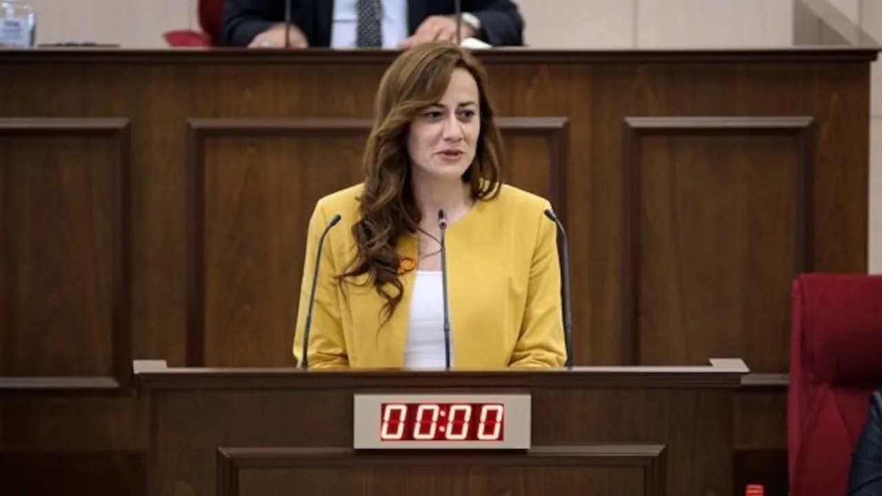 Doğuş Derya: Kıbrıs sorununun çözümü federal yapıyla mümkün
