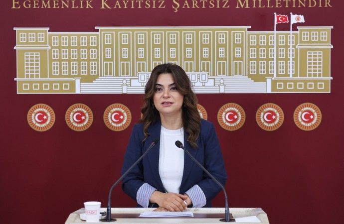 DEM Parti: Tüm siyasi partiler İmralı’yla görüşebilmeli
